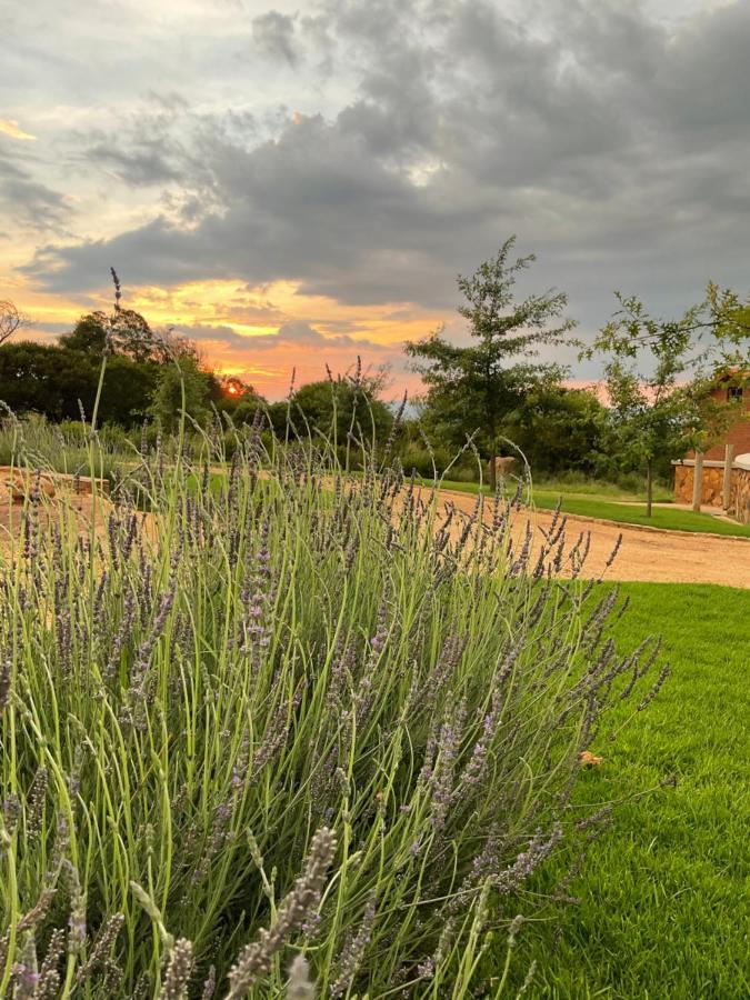 Villa Mount High Luxury Stables Lydenburg Exterior foto
